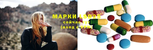 PSILOCYBIN Лихославль