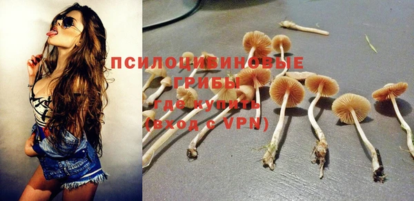 ECSTASY Лиски
