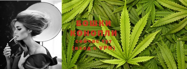 шишки Абаза