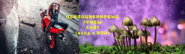 2c-b Абдулино